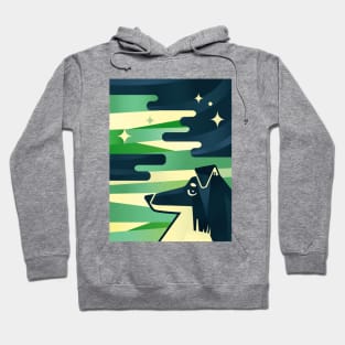 Dog and stars Hoodie